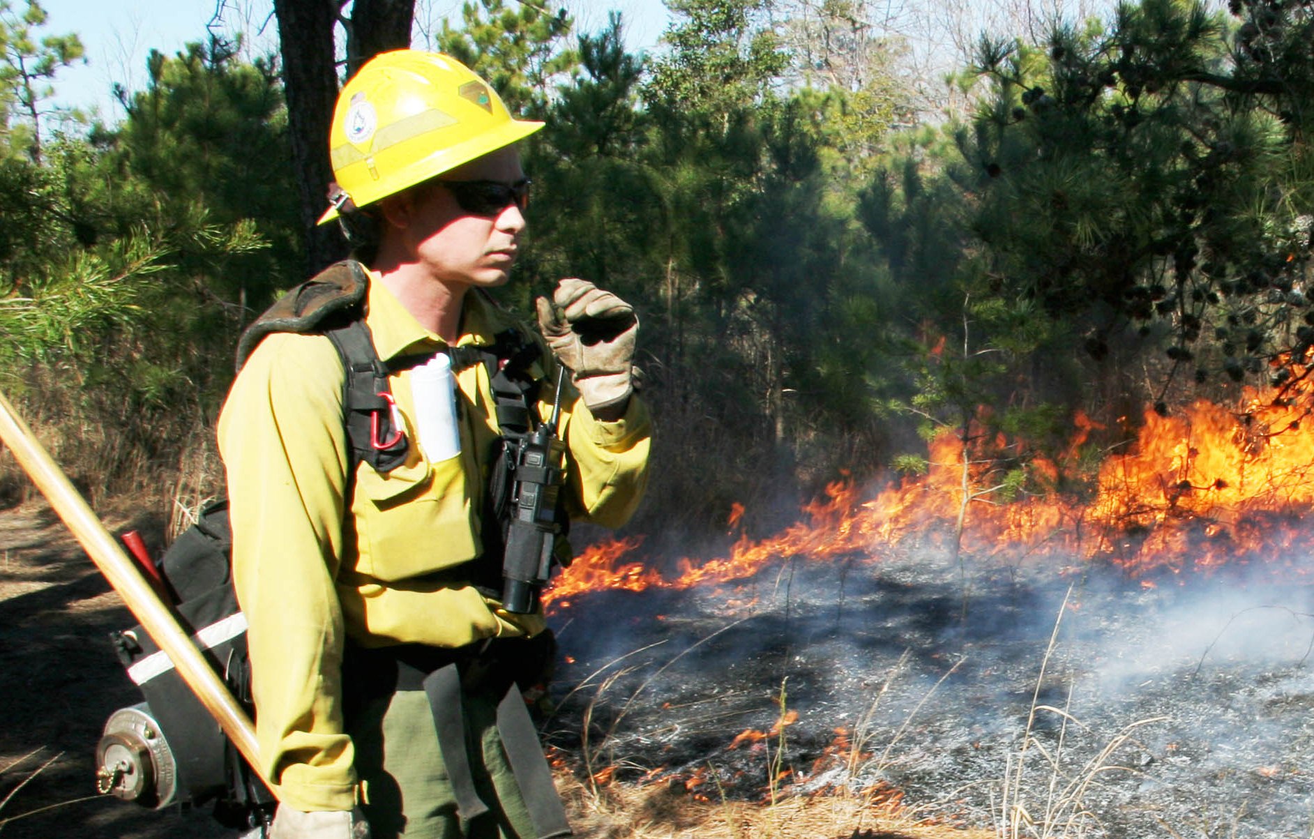 DDA Forest Service seeks recruits for wildland fire
