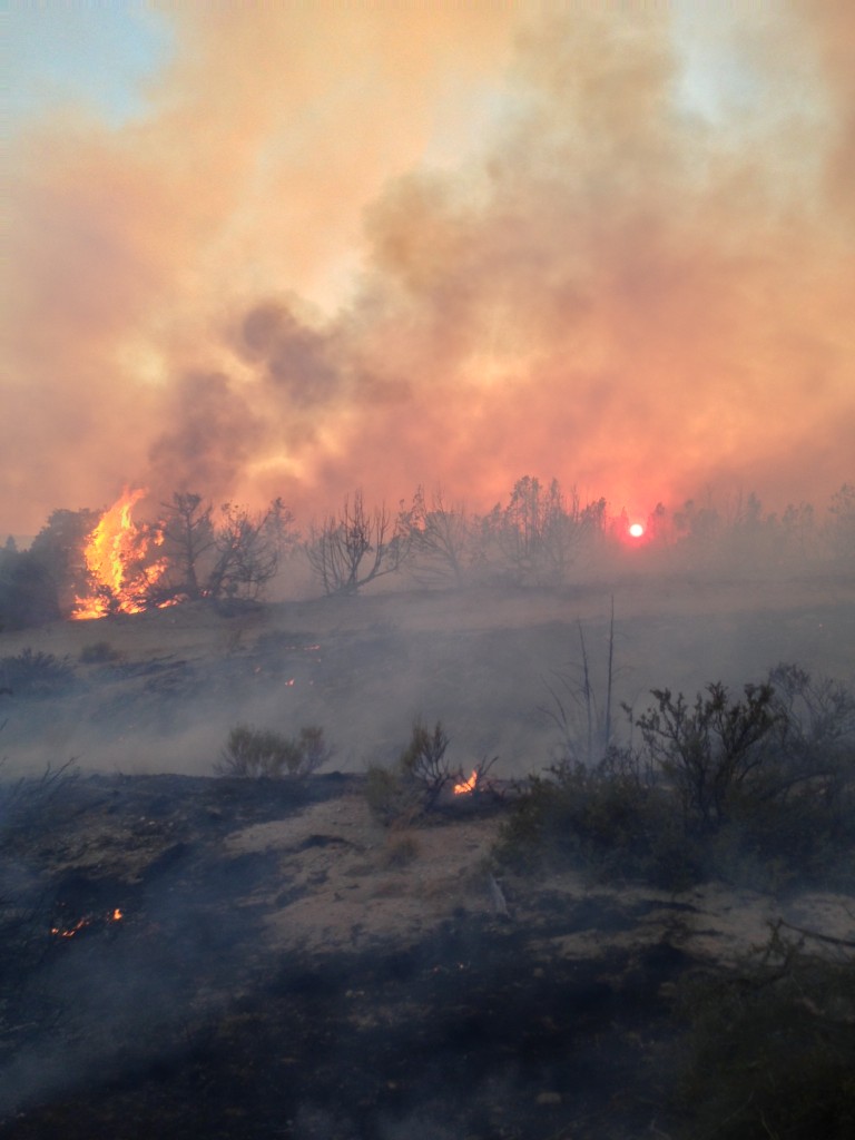 Patch Springs Fire ner Terra, Utah (photo by Delaware Forest Service's Sam Topper).