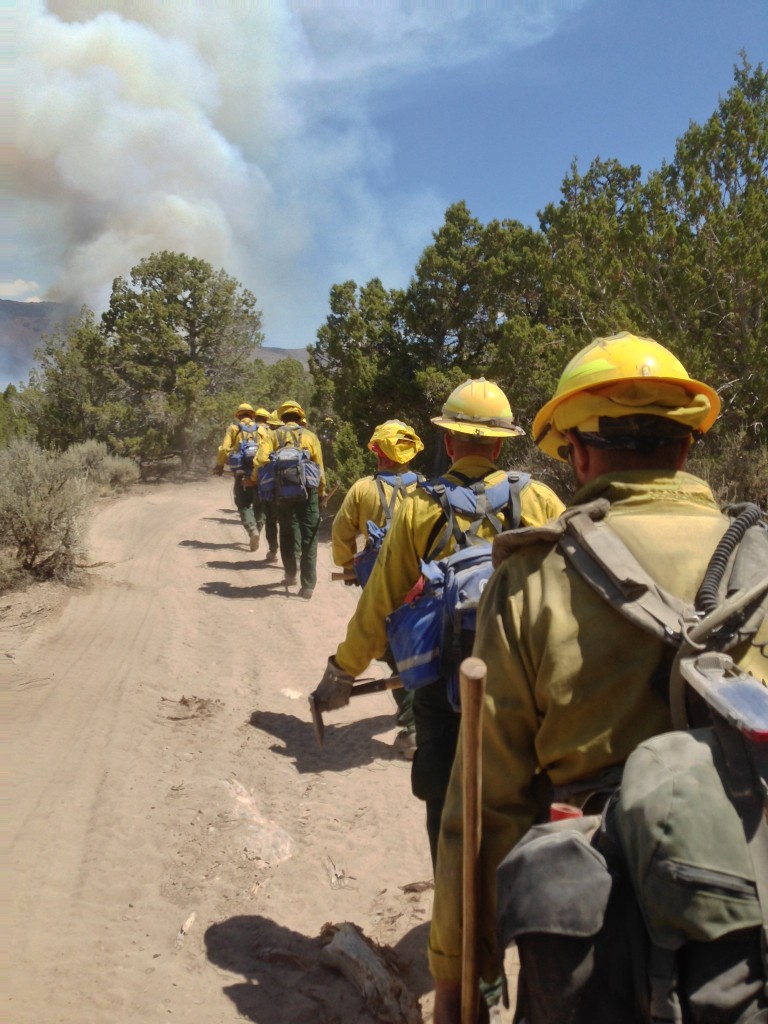 Delaware's wildfire crew heads to work on the Patch Springs Fire, a 14,000-acre blaze near Terra, Utah.