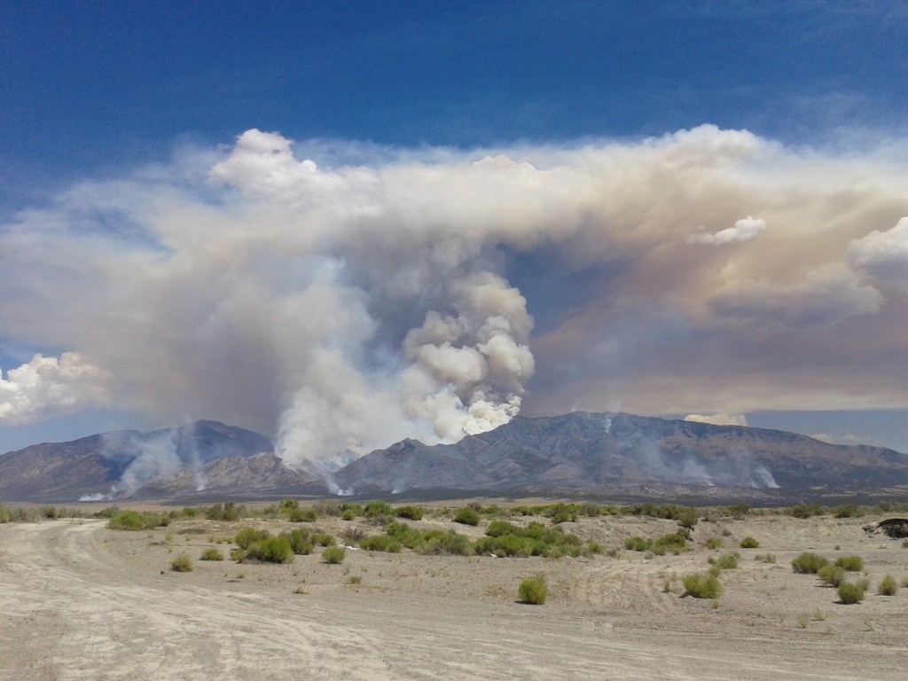 Patch Springs Fire 