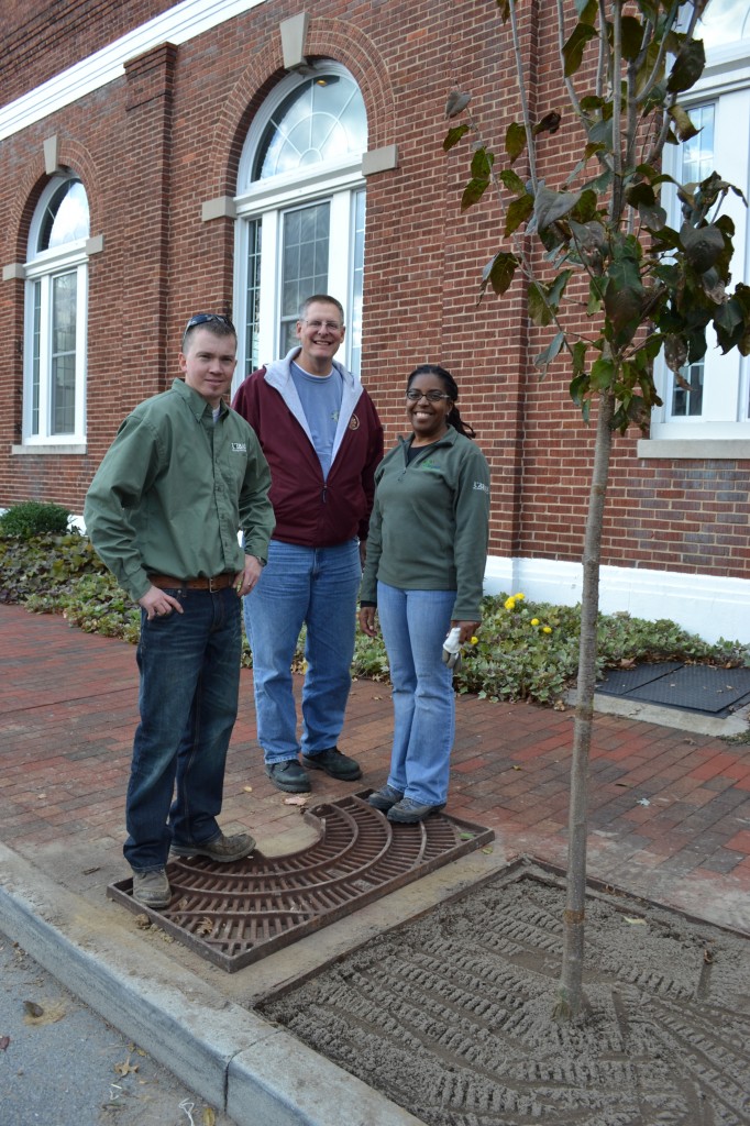 From left, Delaware Forest Service Urban and Community Forestry Program Coordinator Kyle Hoyd joins Georgetown Towm Manager Eugene Dvornick and DFS urban forester Kesha Braunskill outside the town hall building along East Market Street, where 18 new trees were planted as part of a $37,000 streetscape improvement project.