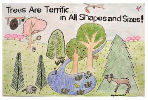 The 2013 Arbor Day Poster Contest winner by Stephen Venable.