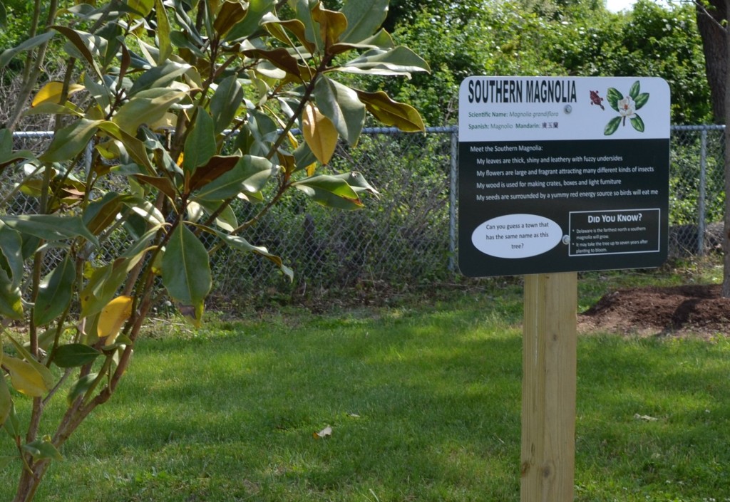 A sign in McIlvaine's new arboretum appears in four languages: English, Latin, Spanish, and Chinese.