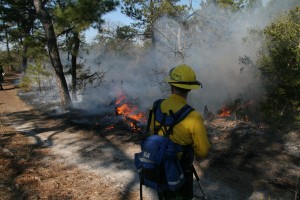 A Delaware Forest Service firefighter carefully monitors a controlled burn at Cape Henlopen State Park.  The DFS will conduct a prescribed fire on 74 acres west of Frankford beginning as early as next week.