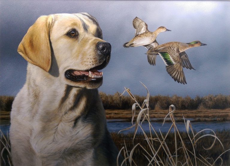 2016 17 Delaware Waterfowl 2016 Trout Stamp Art Contest Winners Are