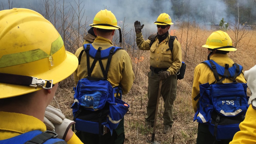 The Delaware Forest Service's southern regional forester Erich Burkentine of Milton leads crew members through the "live burn" training session at the 2015 "Fire Camp" for new wildland firefighters.