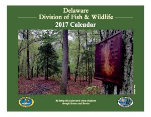 2017-calendar