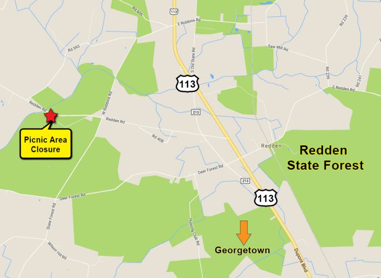 Redden Forest picnic area closed due to illegal activity State of Delaware News