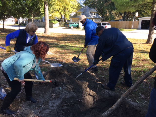 Tree planting at State Street Park in the Town of Delmar. 