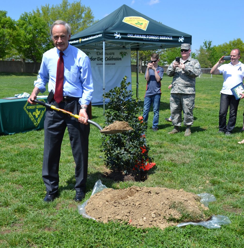 U.S. Senator Thomas R. Carper helped plant an American holly tree at Dover Air Force Base to commemorate Arbor Day in the First State. (photo by John Petersen, Delaware Forest Service).