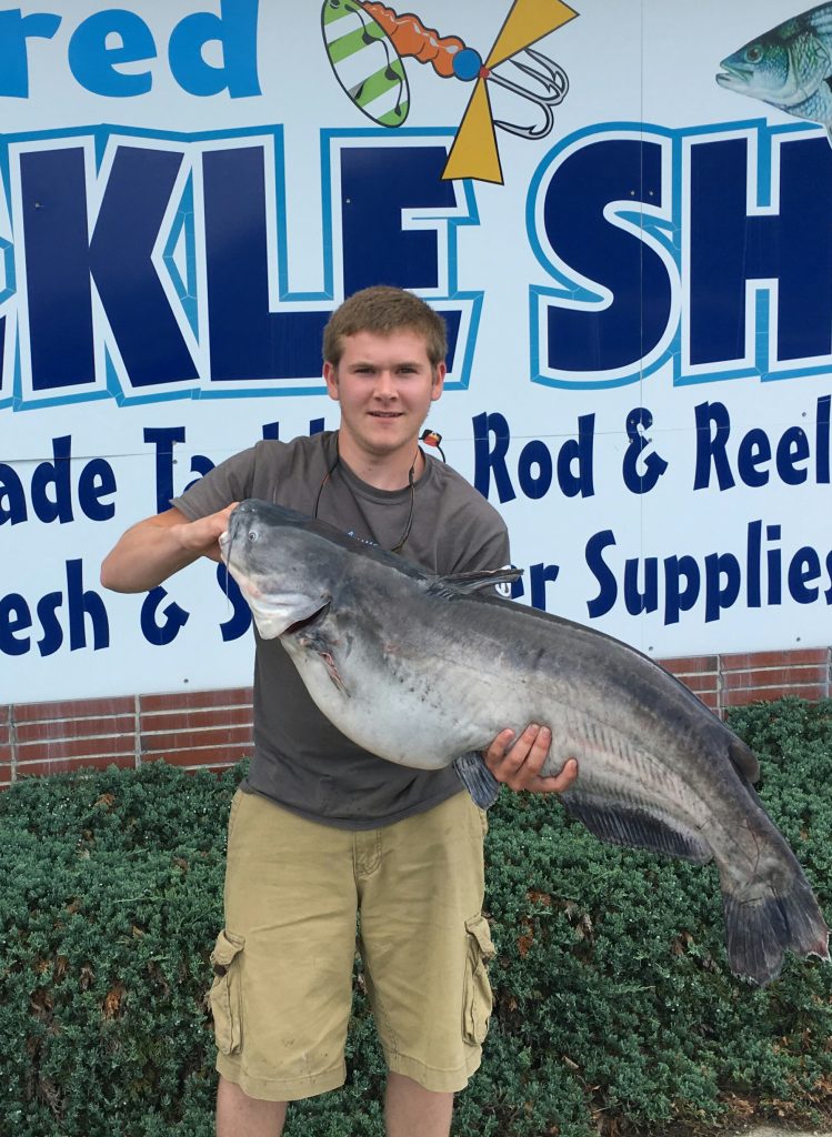 New Delaware Catfish Record
