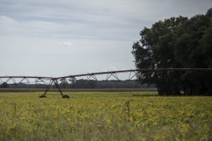 Delaware farm field