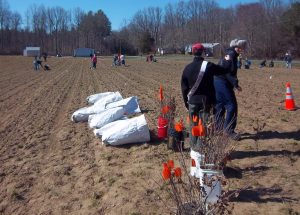 Scouts plant trees at Blackbird