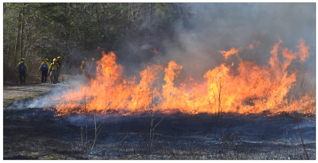 wildfire in a Delaware field