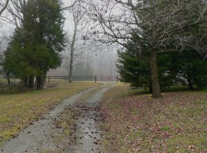 Blackbird Creek Reserve