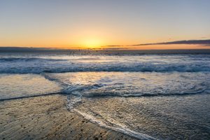Cape Henlopen State Park Beach