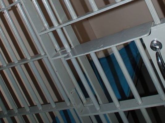 Picture of Prison Cell Bars