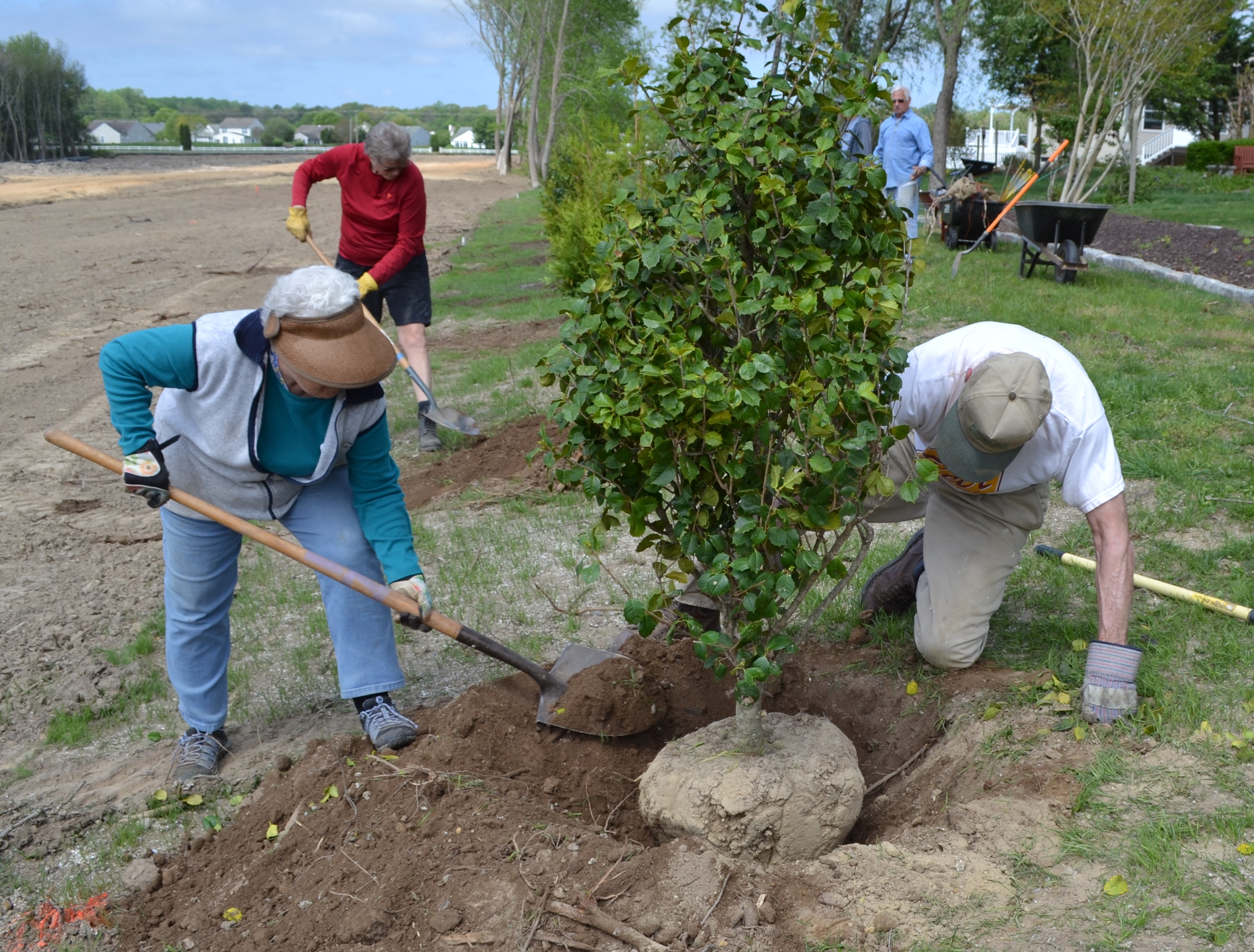 2018 Rehoboth Beach tree planting
