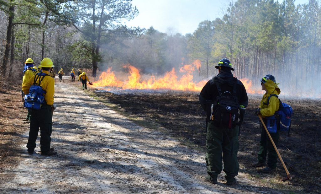 Controlled burn at Fire Camp