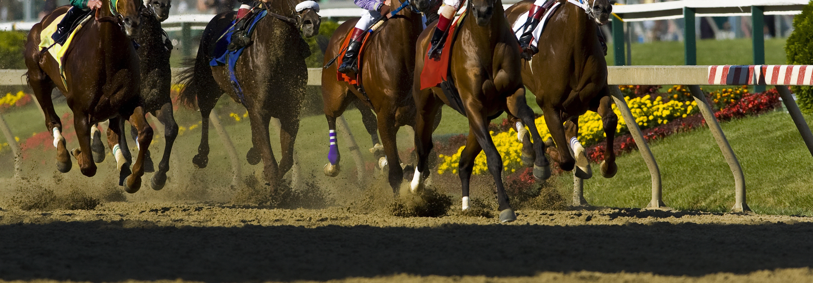 Low shot capturing Thoroughbred horse hooves pounding down the track at Delaware Park.