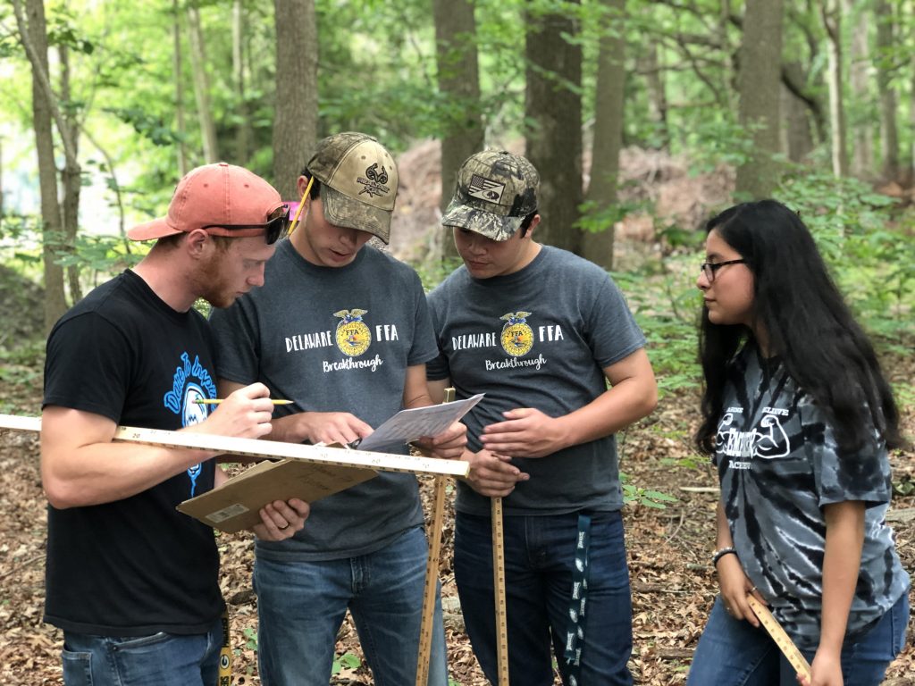 FFa forestry team from Sussex Central