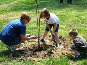 Youth volunteers plant tree