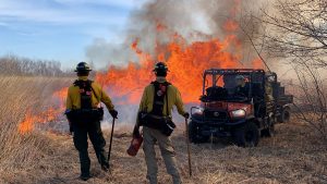 Delaware brush fire