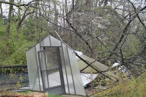 A small greenhouse was destroyed in the storm by a fallen tree. DNREC photo.