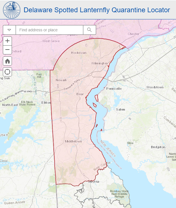 All New Castle County Quarantined As Spotted Lanternfly Move South