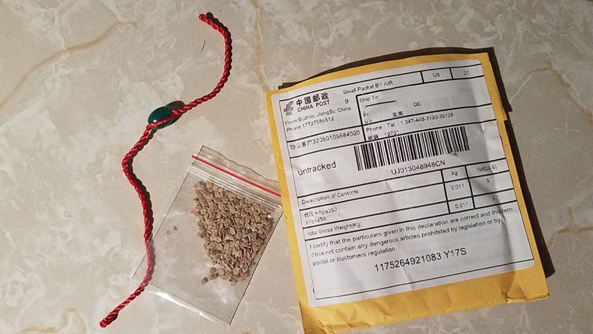 seeds, string bracelet, mailing package with Chinese writing