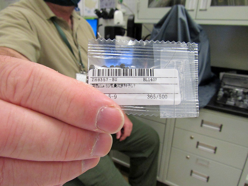 individual holding up package of unsolicited seeds in a laboratory