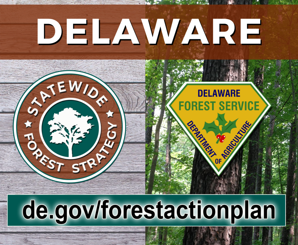 Public comment sought for "Forest Action Plan" - State of Delaware News - news.delaware.gov