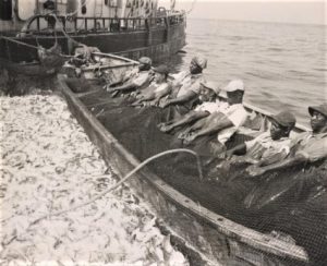 Photo of watermen hauling in a menhaden catch.