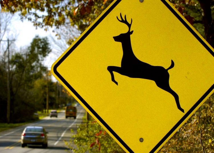Deer crossing sign - .de