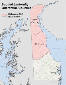 On October 1, 2020, Delaware added Kent County to the Spotted Lanternfly Quarantine that already included all of New Castle County.