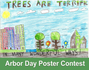 Poster Contest 21