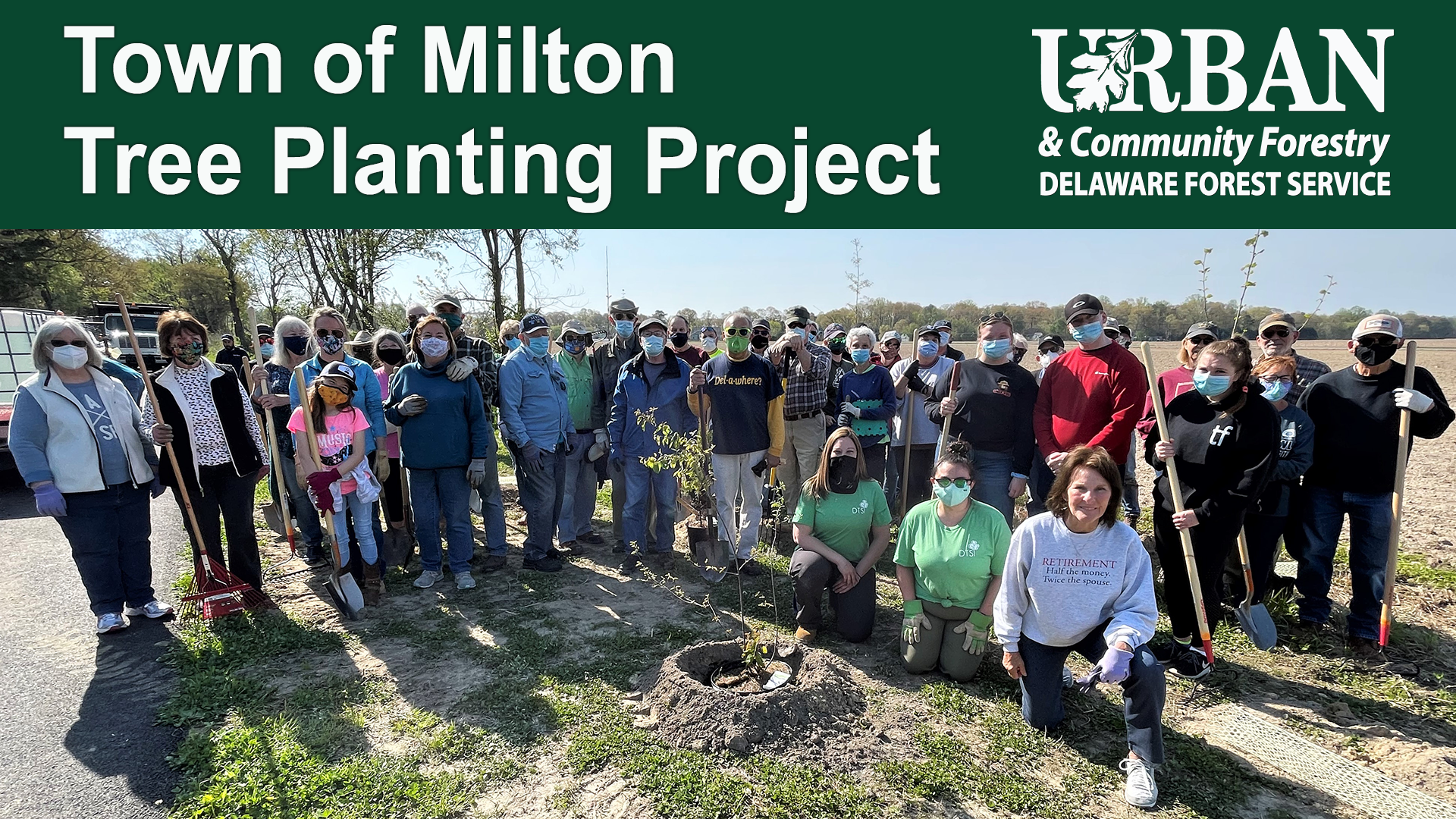 Milton Tree Planting