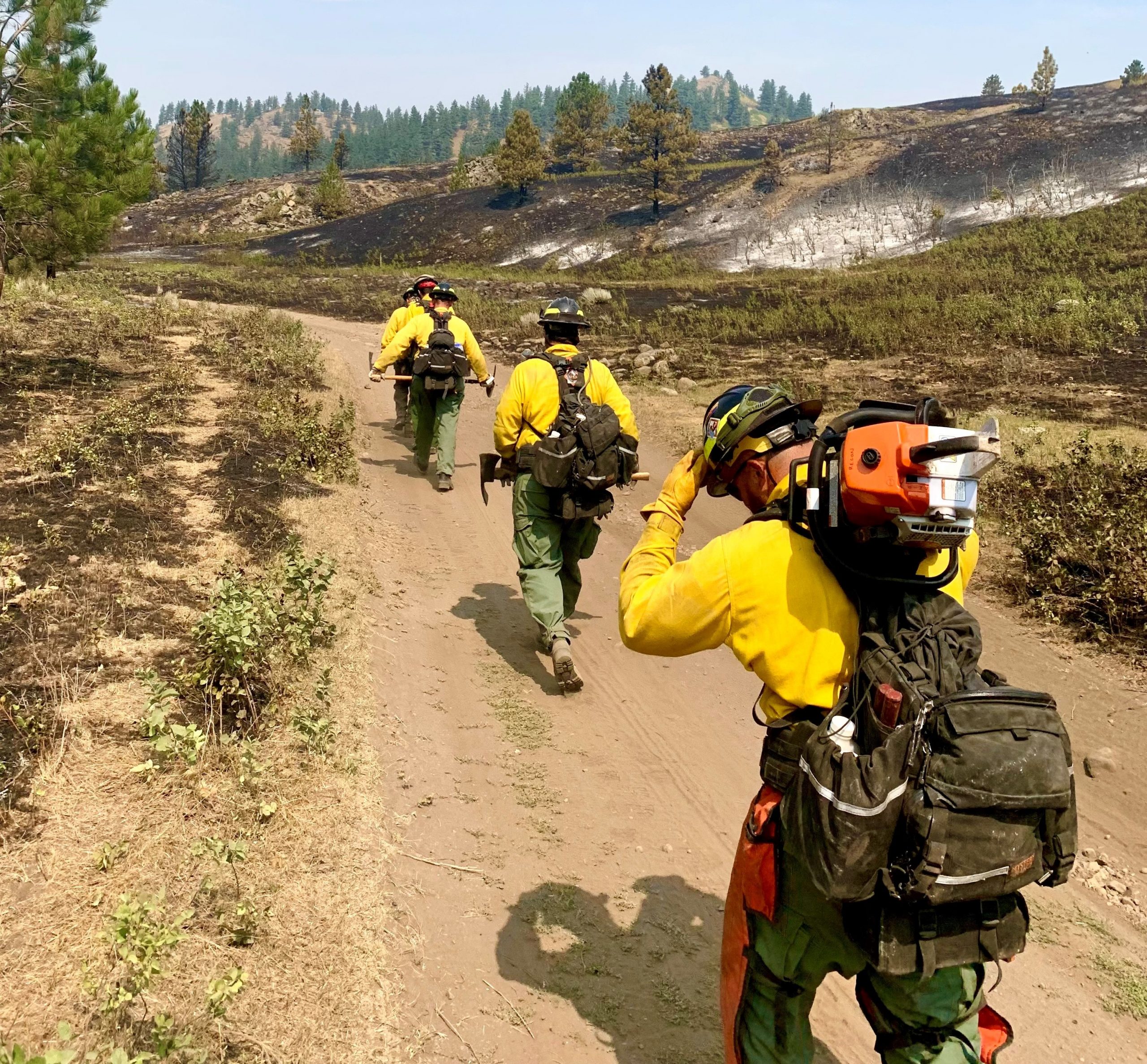 Diamond State wildfire crew