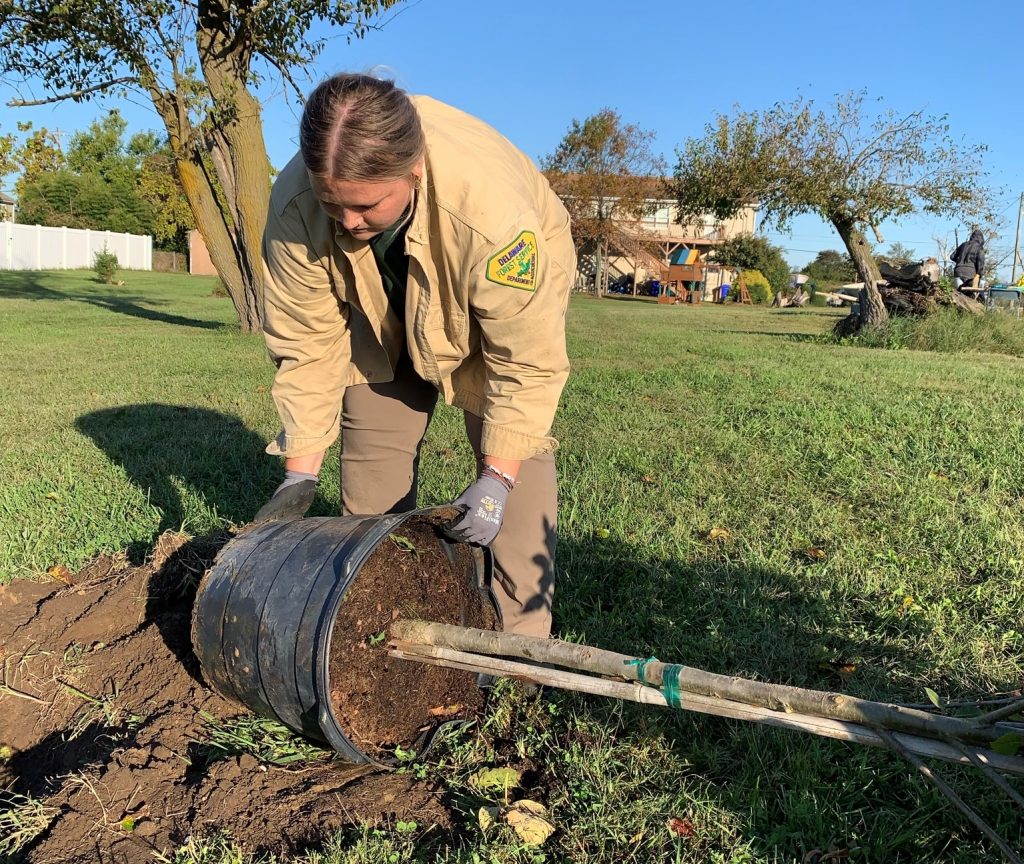 Caroline Dowd, Delaware urban and community forestry program