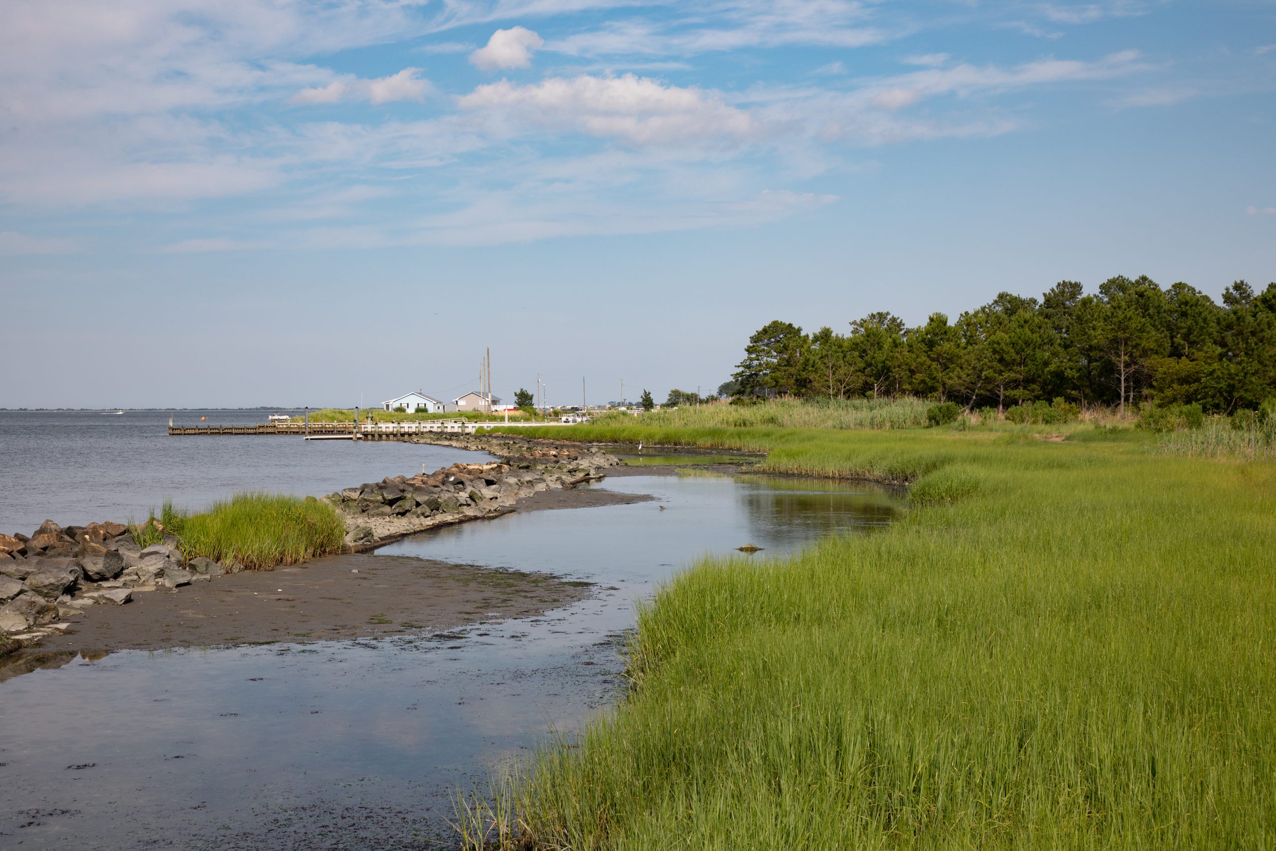 a photo of the Indian River Bay coastline with the Holts Landing boat ramp and dock in the background.