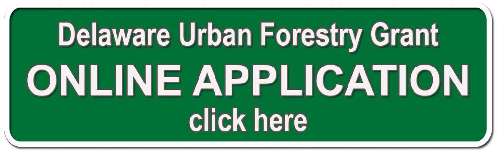 Online UCF Application
