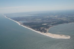 DNREC to Close The Point at Cape Henlopen for Beachnesting Season