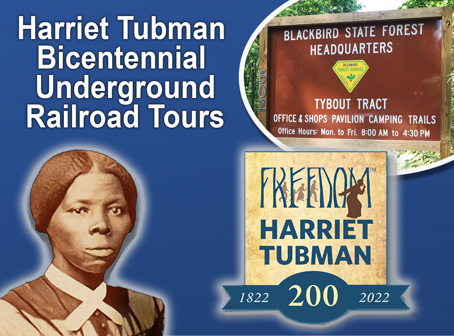 Tubman Tours Blackbird
