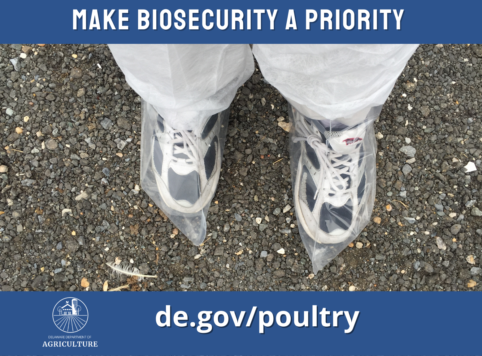 person with plastic disposable booties over sneakers and white Tyvek suit. Words say: Make biosecurity a priority, de.gov/poultry