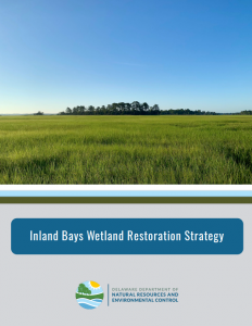 Cover of DNRECs Inland Bays Wetland and Submerged Aquatic Vegetation Restoration Report 1