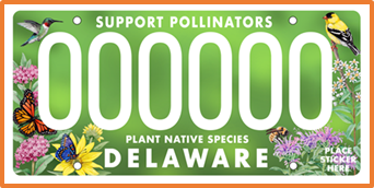 License plate showing support pollinators and garden scene