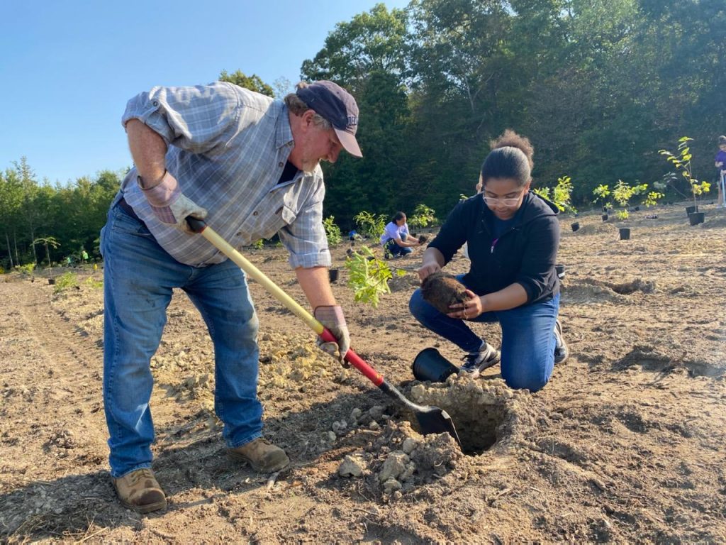 Sixth District Councilman David Carter and Del State student Lauren Smith work together to plant a seedling.