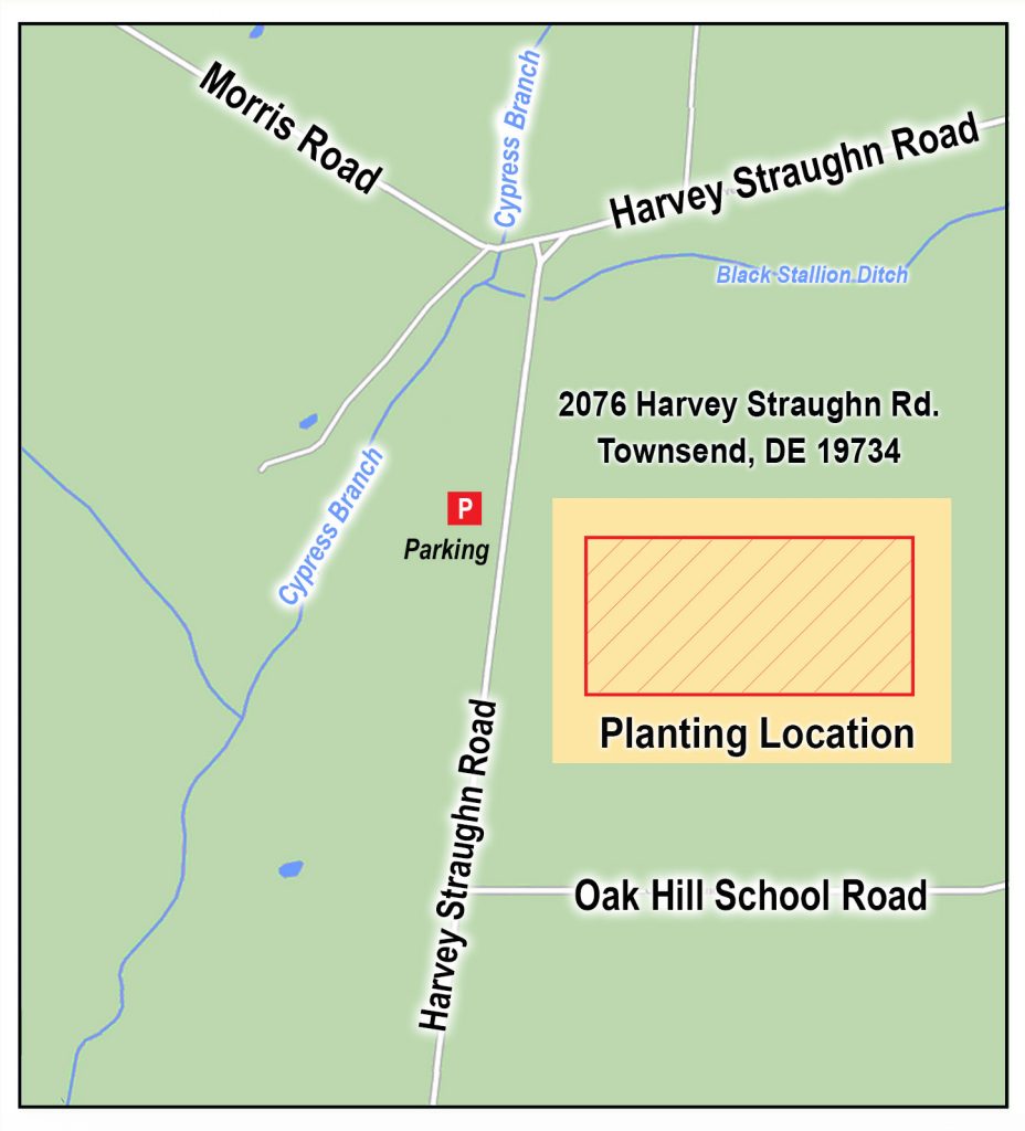 Map of Parking Area and Planting Location