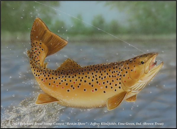 Delaware Waterfowl and Trout Stamp Art Winners Chosen | First State Times