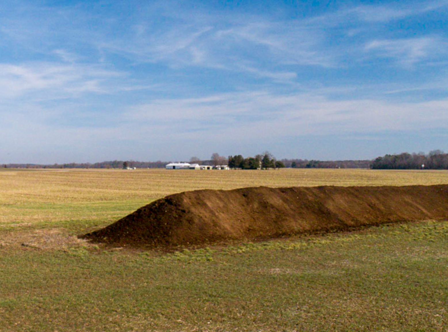 farm field with field staged poultry litter in a windrow